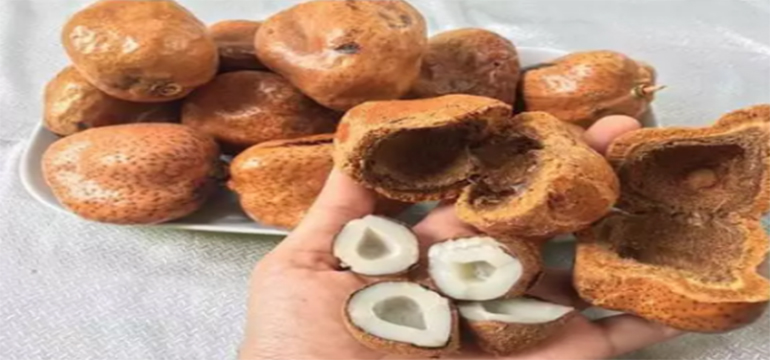 Kecuali Meningkatkan Kesuburan, Inilah 4 Manfaat Buah Zuriat