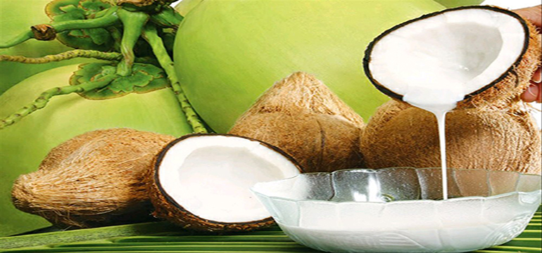 Ini Dia 5 Manfaat Santan Murni bagi Kesehatan 