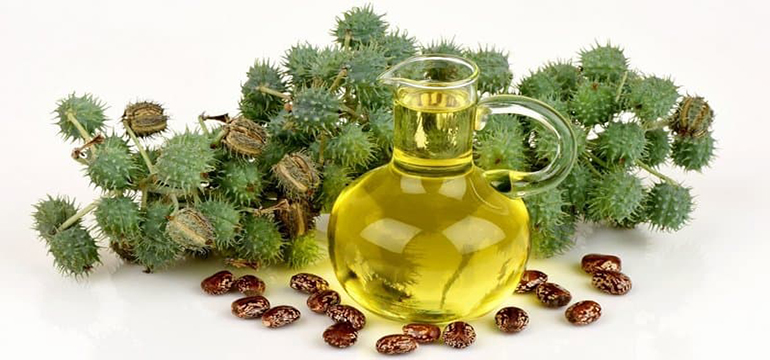 Cara Memanfaatkan Minyak Jarak Buat Atasi Selulit