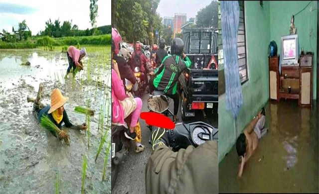 Kata Santuy Sebagai Meme Parodi