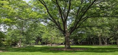 Menjaga Bumi, Tanggung Jawab Kita Bersama